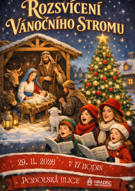 Rozsvícení vánočního stromu